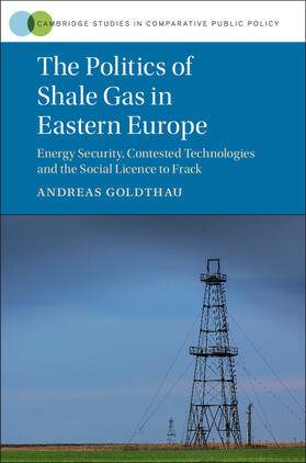 Goldthau |  The Politics of Shale Gas in Eastern Europe | Buch |  Sack Fachmedien