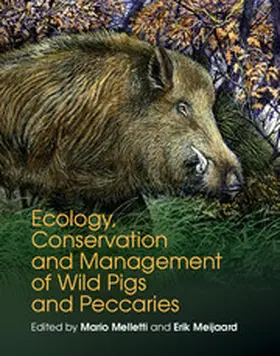 Melletti / Meijaard |  Ecology, Conservation and Management of Wild Pigs and Peccaries | Buch |  Sack Fachmedien