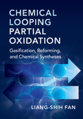 Fan |  Chemical Looping Partial Oxidation | Buch |  Sack Fachmedien