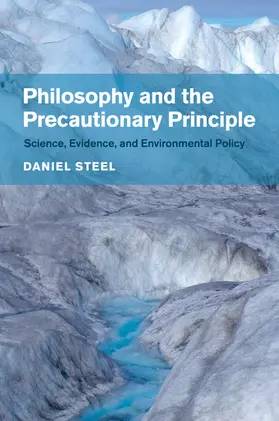 Steel |  Philosophy and the Precautionary Principle | Buch |  Sack Fachmedien