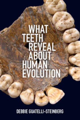 Guatelli-Steinberg |  What Teeth Reveal about Human Evolution | Buch |  Sack Fachmedien
