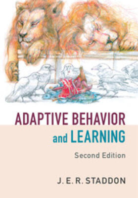 Staddon |  Adaptive Behavior and Learning | Buch |  Sack Fachmedien