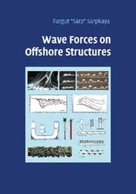 Sarpkaya |  Wave Forces on Offshore Structures | Buch |  Sack Fachmedien