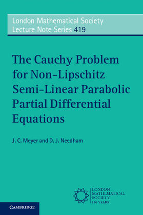 Meyer / Needham |  The Cauchy Problem for Non-Lipschitz Semi-Linear Parabolic Partial Differential Equations | Buch |  Sack Fachmedien