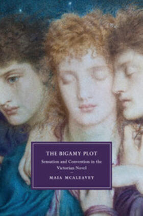 McAleavey |  The Bigamy Plot | Buch |  Sack Fachmedien