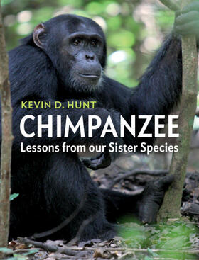 Hunt |  Chimpanzee | Buch |  Sack Fachmedien