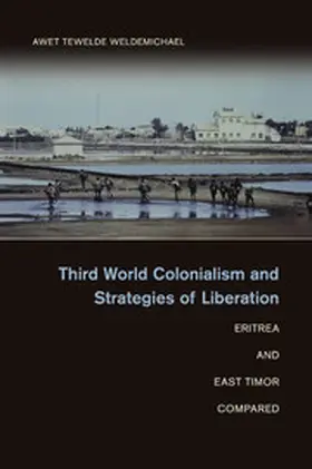 Weldemichael |  Third World Colonialism and Strategies of Liberation | Buch |  Sack Fachmedien