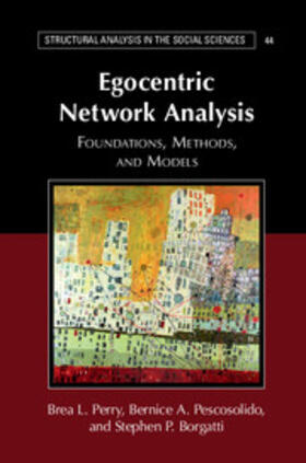 Borgatti / Perry / Pescosolido |  Egocentric Network Analysis | Buch |  Sack Fachmedien