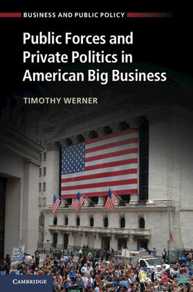 Werner |  Public Forces and Private Politics in American Big Business | Buch |  Sack Fachmedien