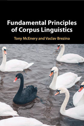 McEnery / Brezina |  Fundamental Principles of Corpus Linguistics | Buch |  Sack Fachmedien