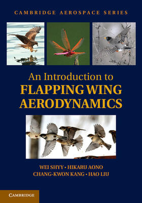 Shyy / Aono / Kang |  An Introduction to Flapping Wing Aerodynamics | Buch |  Sack Fachmedien