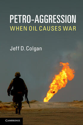 Colgan |  Petro-Aggression | Buch |  Sack Fachmedien