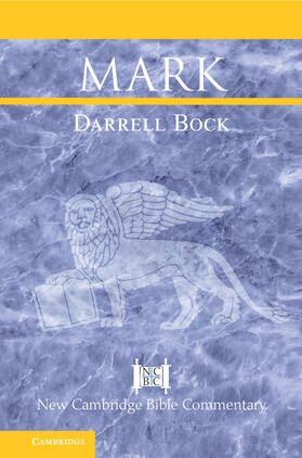 Bock |  Mark | Buch |  Sack Fachmedien