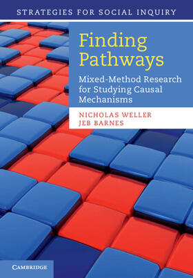 Weller / Barnes |  Finding Pathways | Buch |  Sack Fachmedien