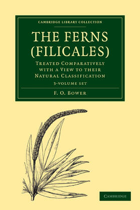 Bower |  The Ferns (Filicales) 3 Volume Paperback Set: Volume SET | Buch |  Sack Fachmedien