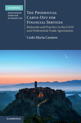 Cantore |  The Prudential Carve-Out for Financial             Services | Buch |  Sack Fachmedien
