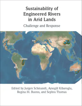 Buono / Schmandt / Kibaroglu |  Sustainability of Engineered Rivers In Arid Lands | Buch |  Sack Fachmedien