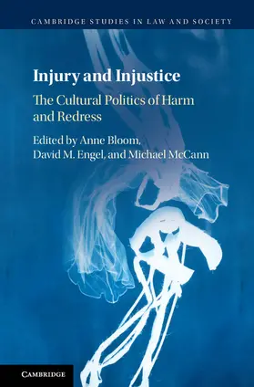 Bloom / Engel / McCann |  Injury and Injustice | Buch |  Sack Fachmedien