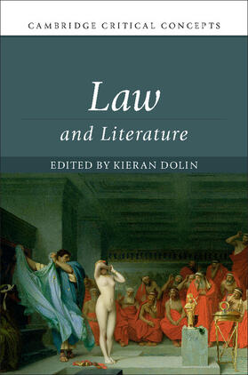 Dolin |  Law and Literature | Buch |  Sack Fachmedien