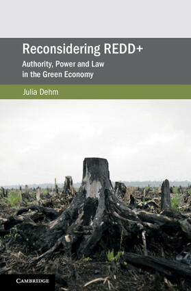 Dehm |  Reconsidering REDD+ | Buch |  Sack Fachmedien