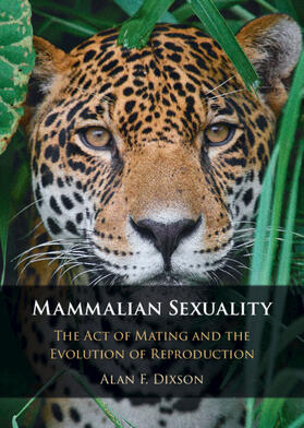 Dixson |  Mammalian Sexuality | Buch |  Sack Fachmedien