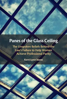 Stone |  Panes of the Glass Ceiling | Buch |  Sack Fachmedien