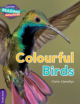 Llewellyn |  Cambridge Reading Adventures Colourful Birds Purple Band | Buch |  Sack Fachmedien