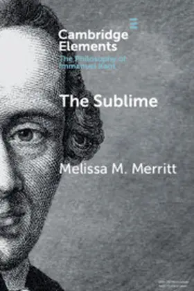 Merritt |  The Sublime | Buch |  Sack Fachmedien