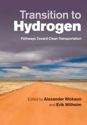 Wilhelm / Wokaun |  Transition to Hydrogen | Buch |  Sack Fachmedien