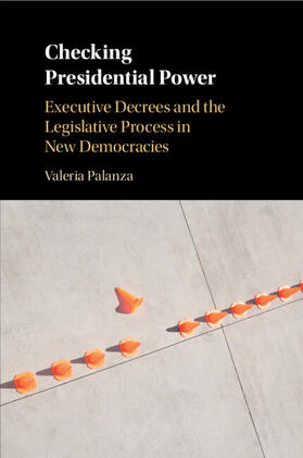 Palanza |  Checking Presidential Power | Buch |  Sack Fachmedien