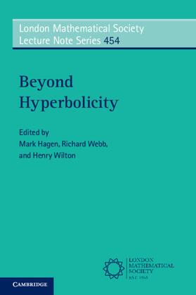 Hagen / Webb / Wilton |  Beyond Hyperbolicity | Buch |  Sack Fachmedien