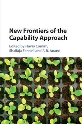 Comim / Fennell / Anand |  New Frontiers of the Capability Approach | Buch |  Sack Fachmedien