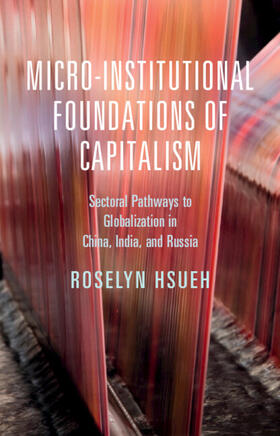 Hsueh |  Micro-institutional Foundations of Capitalism | Buch |  Sack Fachmedien