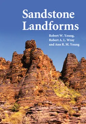 Young / Wray |  Sandstone Landforms | Buch |  Sack Fachmedien