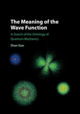 Gao |  The Meaning of the Wave Function | Buch |  Sack Fachmedien