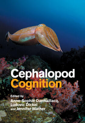 Darmaillacq / Dickel / Mather |  Cephalopod Cognition | Buch |  Sack Fachmedien