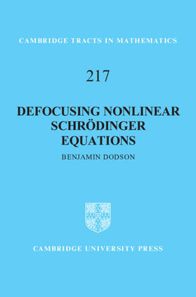 Dodson |  Defocusing Nonlinear Schrödinger Equations | Buch |  Sack Fachmedien