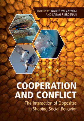 Wilczynski / Brosnan |  Cooperation and Conflict | Buch |  Sack Fachmedien