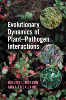 Burdon / Laine |  Evolutionary Dynamics of Plant-Pathogen Interactions | Buch |  Sack Fachmedien