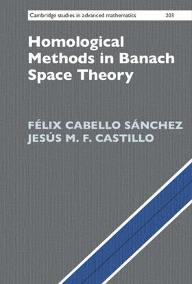 Cabello Sánchez / Castillo |  Homological Methods in Banach Space Theory | Buch |  Sack Fachmedien