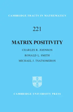 Johnson / Smith / Tsatsomeros |  Matrix Positivity | Buch |  Sack Fachmedien