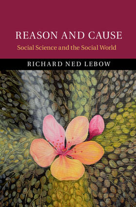 Lebow |  Reason and Cause | Buch |  Sack Fachmedien