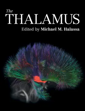 Halassa |  The Thalamus | Buch |  Sack Fachmedien