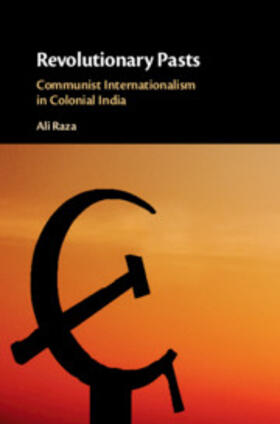 Raza |  Revolutionary Pasts | Buch |  Sack Fachmedien