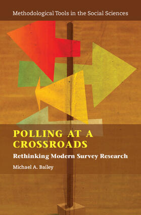 Bailey |  Polling at a Crossroads | Buch |  Sack Fachmedien