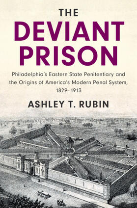 Rubin |  The Deviant Prison | Buch |  Sack Fachmedien