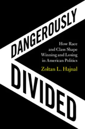 Hajnal |  Dangerously Divided | Buch |  Sack Fachmedien