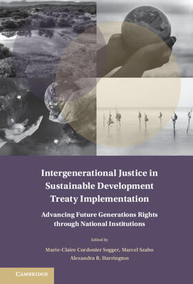 Cordonier Segger / Szabó / Harrington |  Intergenerational Justice in Sustainable Development Treaty Implementation | Buch |  Sack Fachmedien