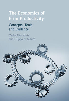 Altomonte / di Mauro |  The Economics of Firm Productivity | Buch |  Sack Fachmedien