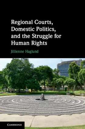 Haglund |  Regional Courts, Domestic Politics, and the Struggle for Human Rights | Buch |  Sack Fachmedien